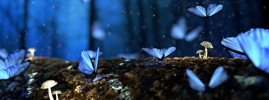 blue butterflies.jpeg